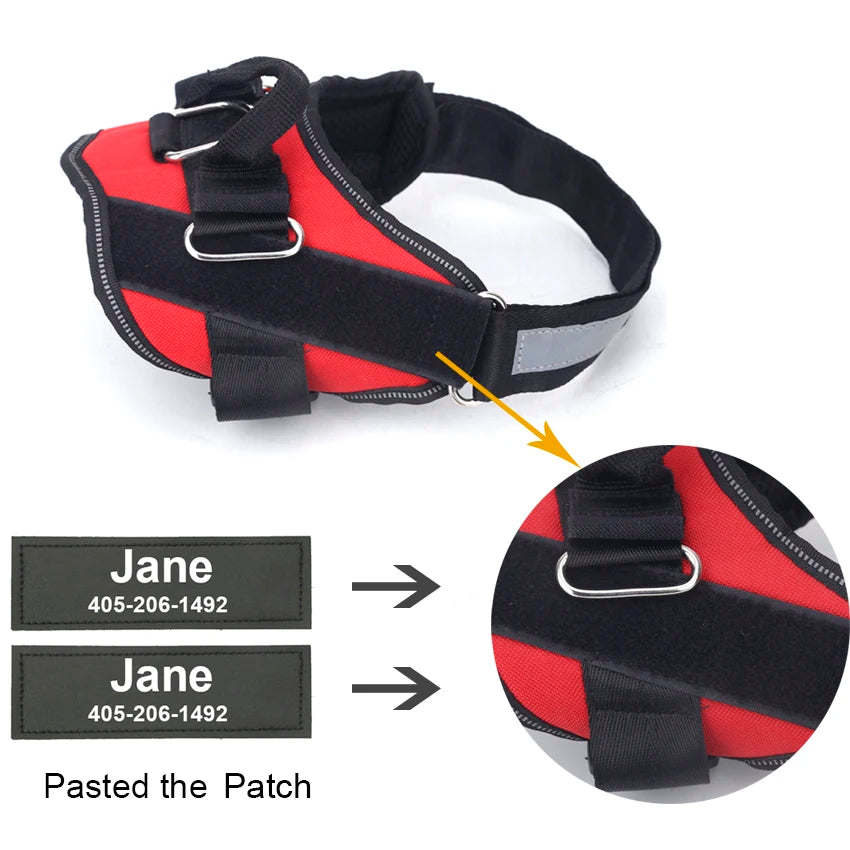 Reflective Dog Harness – Adjustable, Breathable, Padded - Willen