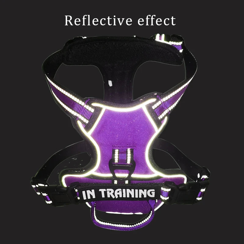 Reflective Adjustable Dog Harness – Breathable, Padded, with Custom Patch - Willen