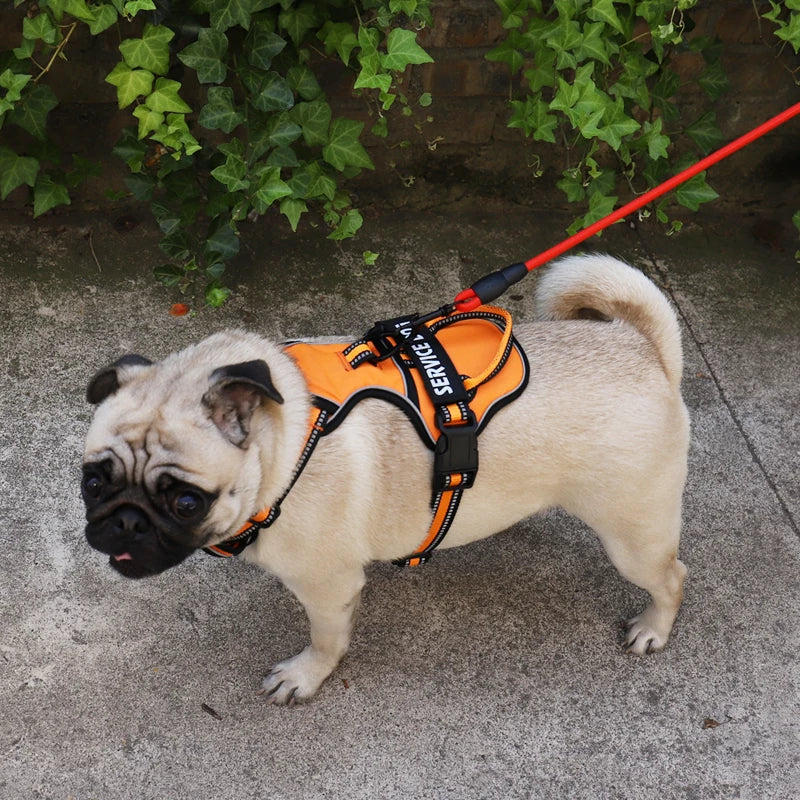Reflective Adjustable Dog Harness – Breathable, Padded, with Custom Patch - Willen