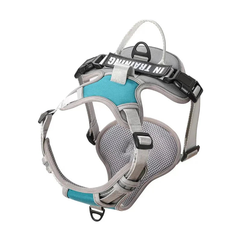 Reflective Adjustable Dog Harness – Breathable, Padded, with Custom Patch - Willen