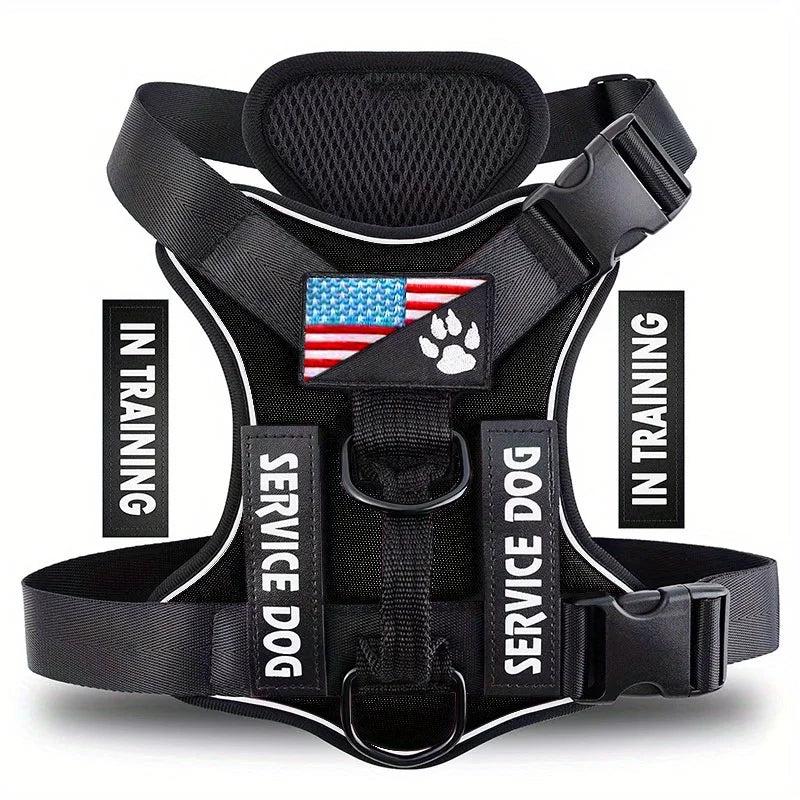 Reflective Training Vest for Dogs – Adjustable, Padded, with ID Patches - Willen