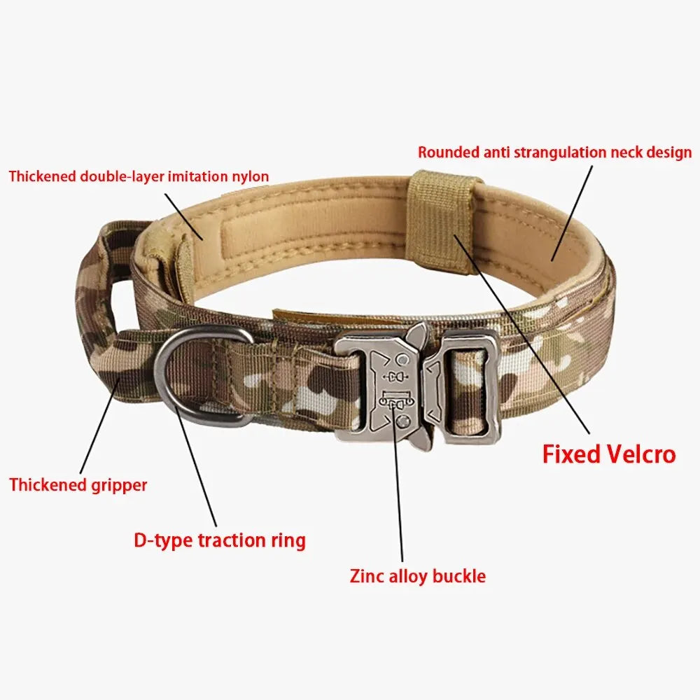 Heavy-Duty Dog Collar – Adjustable Nylon with Metal Buckle - Willen
