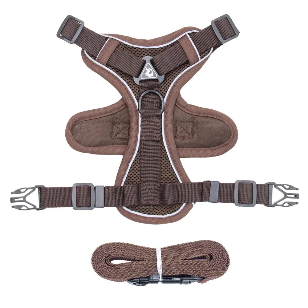 Reflective Pet Harness & Leash Set – Adjustable Mesh for Cats & Small Dogs - Willen