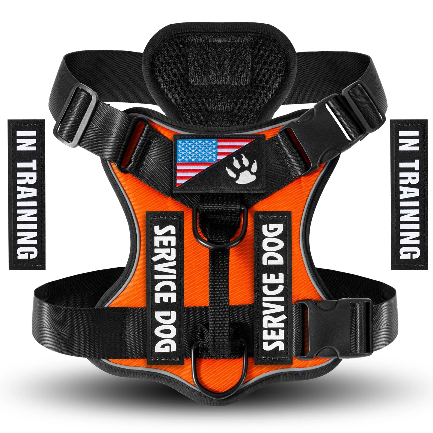 Reflective Training Vest for Dogs – Adjustable, Padded, with ID Patches - Willen