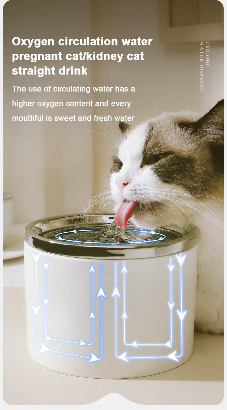 Ceramic Pet Water Fountain – Quiet Circulation, USB-Powered - Willen