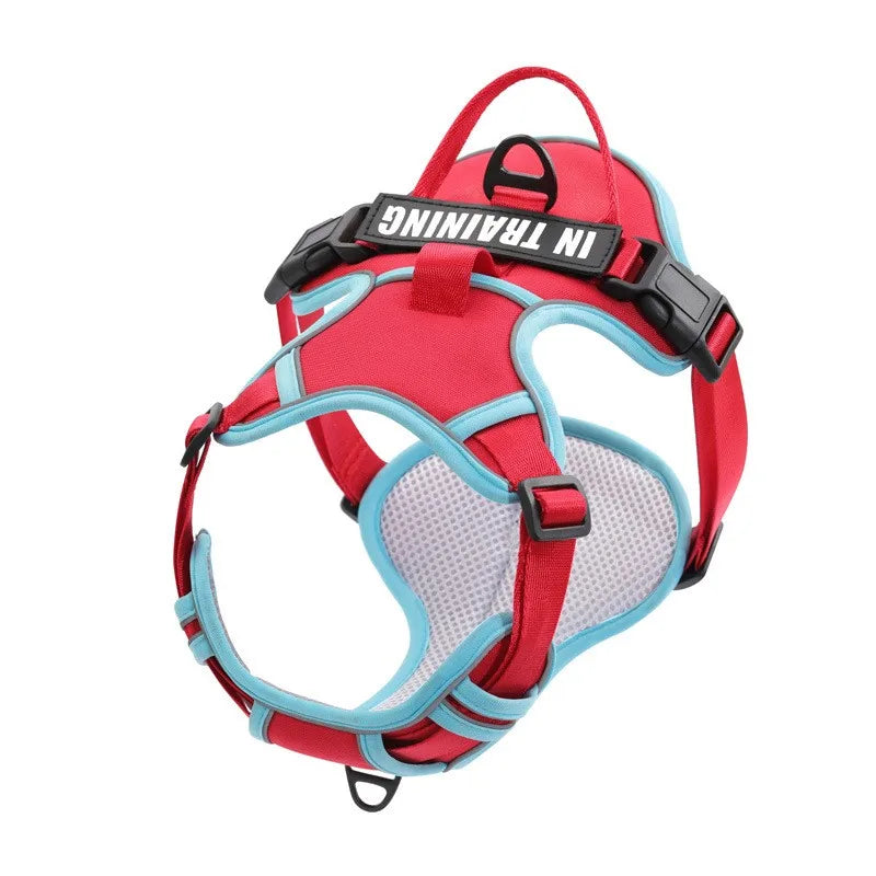 Reflective Adjustable Dog Harness – Breathable, Padded, with Custom Patch - Willen