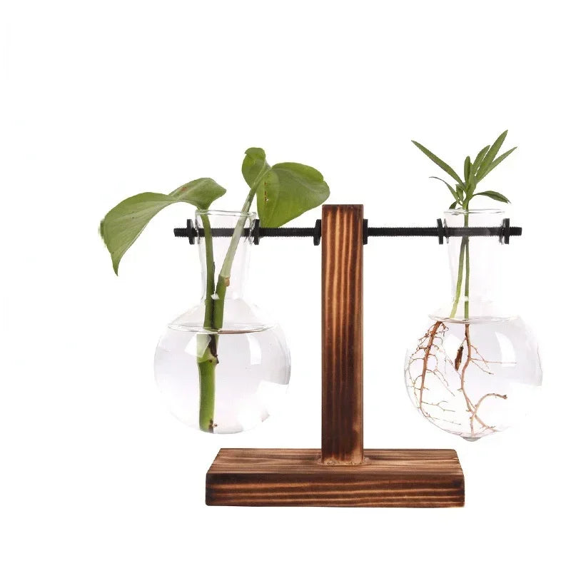 Glass Bulb Vase with Wooden Stand – Hydroponic Plant Holder - Willen