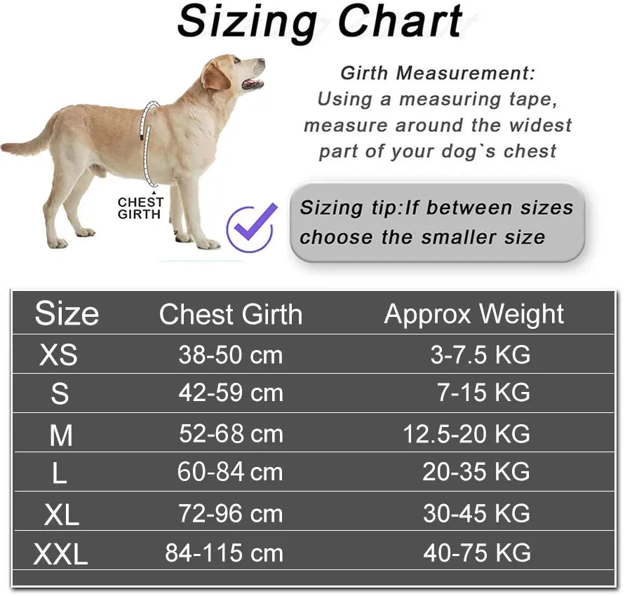 Reflective Dog Harness – Adjustable, Breathable, Padded - Willen
