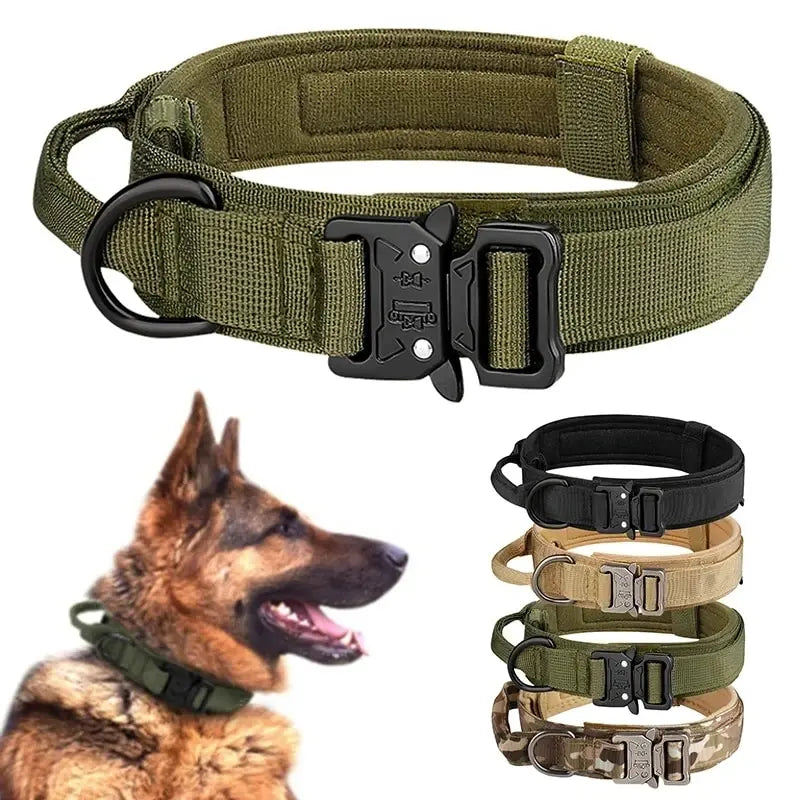 Heavy-Duty Dog Collar – Adjustable Nylon with Metal Buckle - Willen