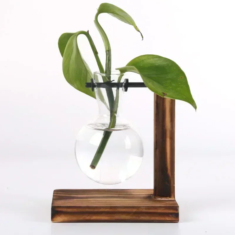 Glass Bulb Vase with Wooden Stand – Hydroponic Plant Holder - Willen