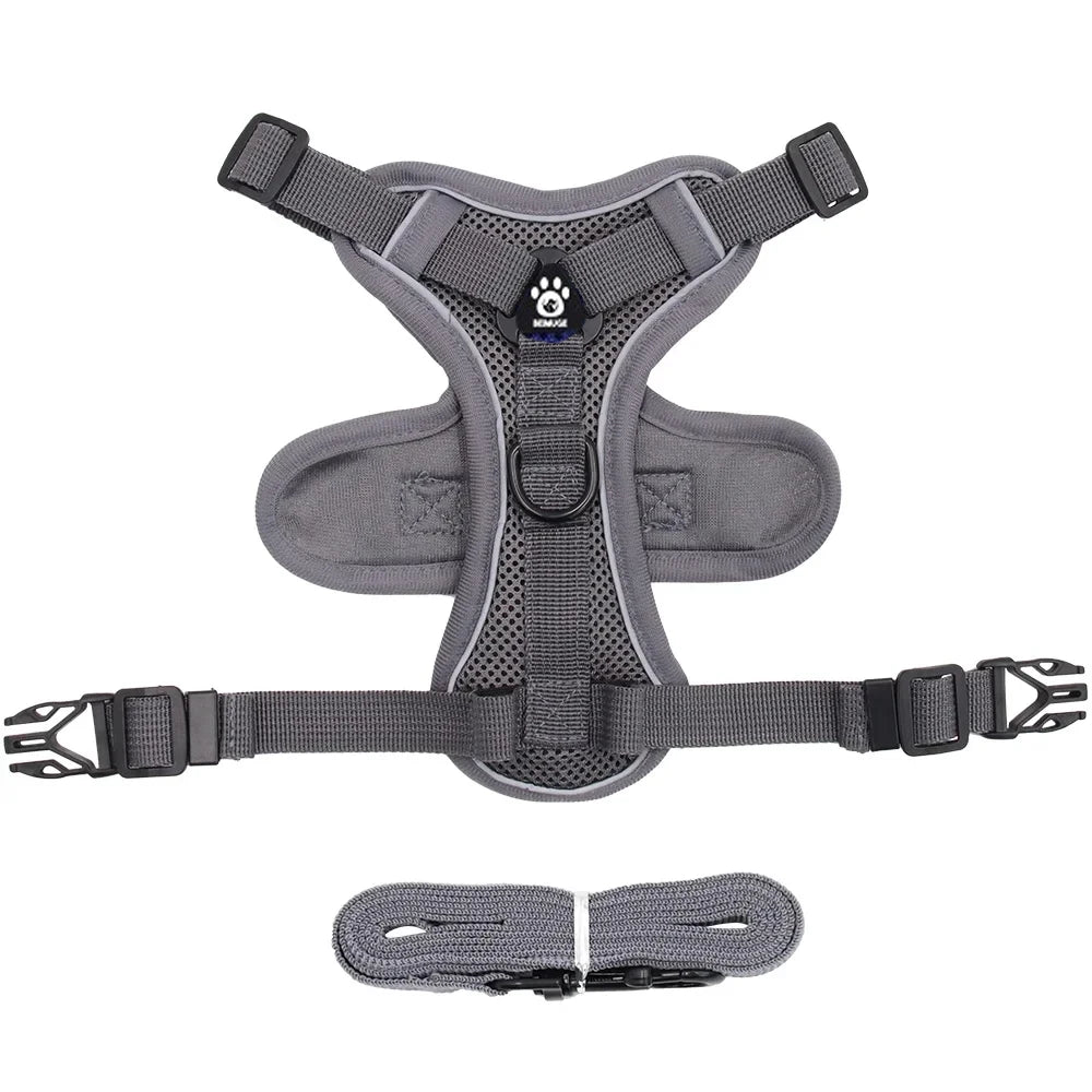 Reflective Pet Harness & Leash Set – Adjustable Mesh for Cats & Small Dogs - Willen