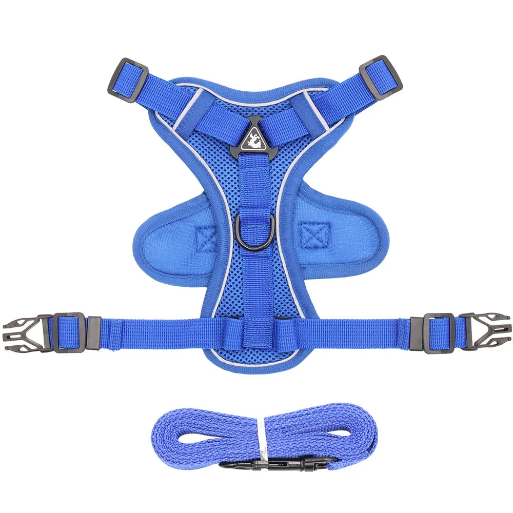 Reflective Pet Harness & Leash Set – Adjustable Mesh for Cats & Small Dogs - Willen