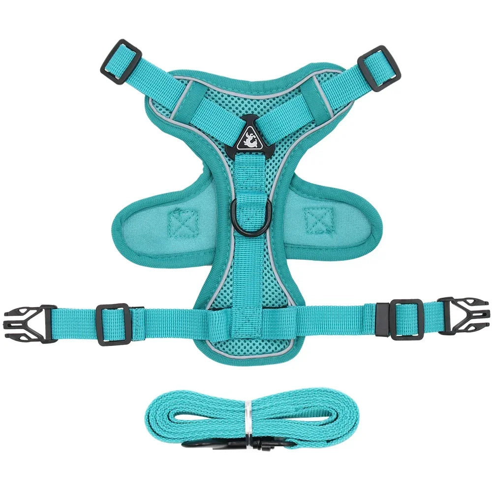 Reflective Pet Harness & Leash Set – Adjustable Mesh for Cats & Small Dogs - Willen