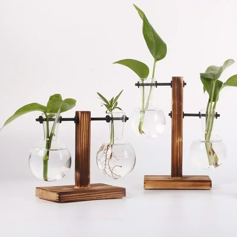 Glass Bulb Vase with Wooden Stand – Hydroponic Plant Holder - Willen