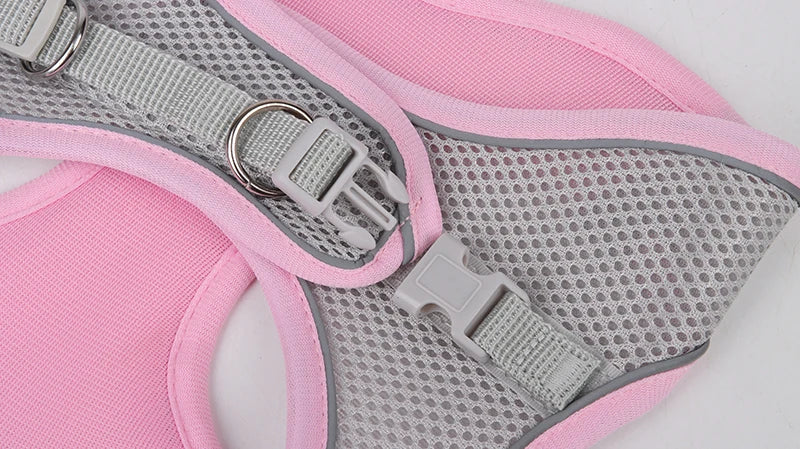 ComfyFit Pet Harness Set – Adjustable Mesh Vest & Leash for Small Dogs and Cats - Willen