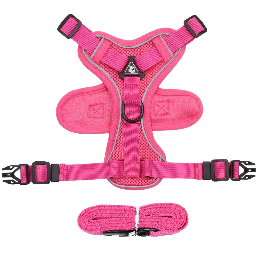 Reflective Pet Harness & Leash Set – Adjustable Mesh for Cats & Small Dogs - Willen