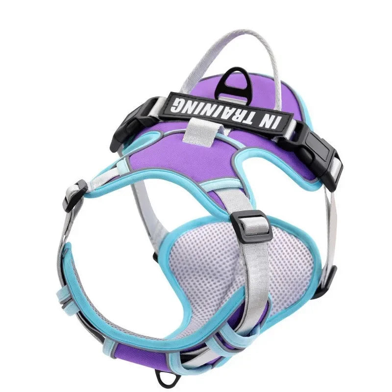 Reflective Adjustable Dog Harness – Breathable, Padded, with Custom Patch - Willen