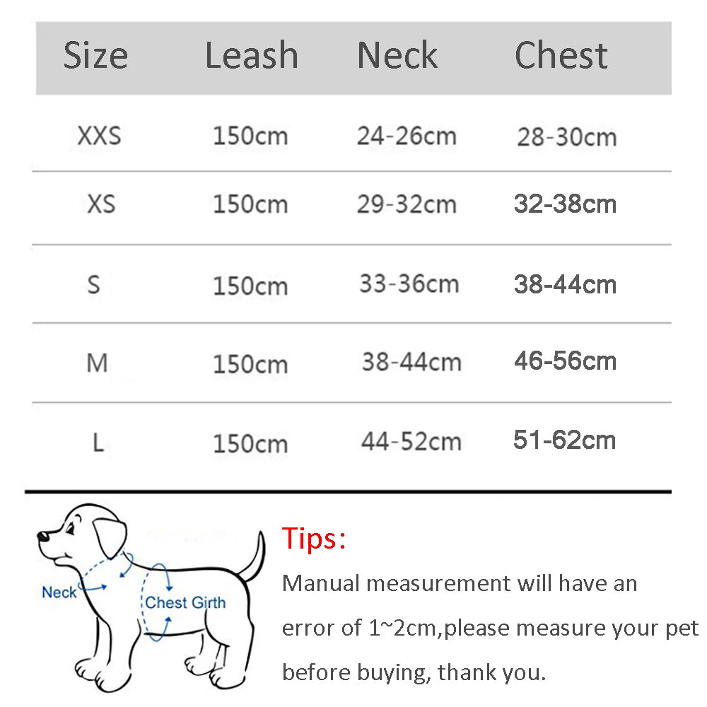 ComfyFit Pet Harness Set – Adjustable Mesh Vest & Leash for Small Dogs and Cats - Willen
