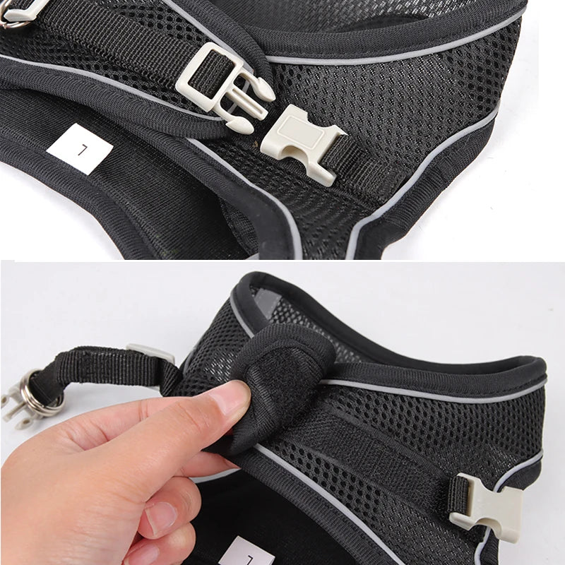ComfyFit Pet Harness Set – Adjustable Mesh Vest & Leash for Small Dogs and Cats - Willen