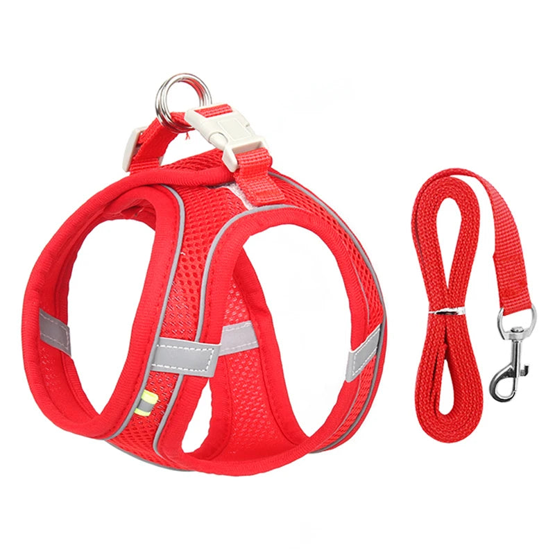 ComfyFit Pet Harness Set – Adjustable Mesh Vest & Leash for Small Dogs and Cats - Willen
