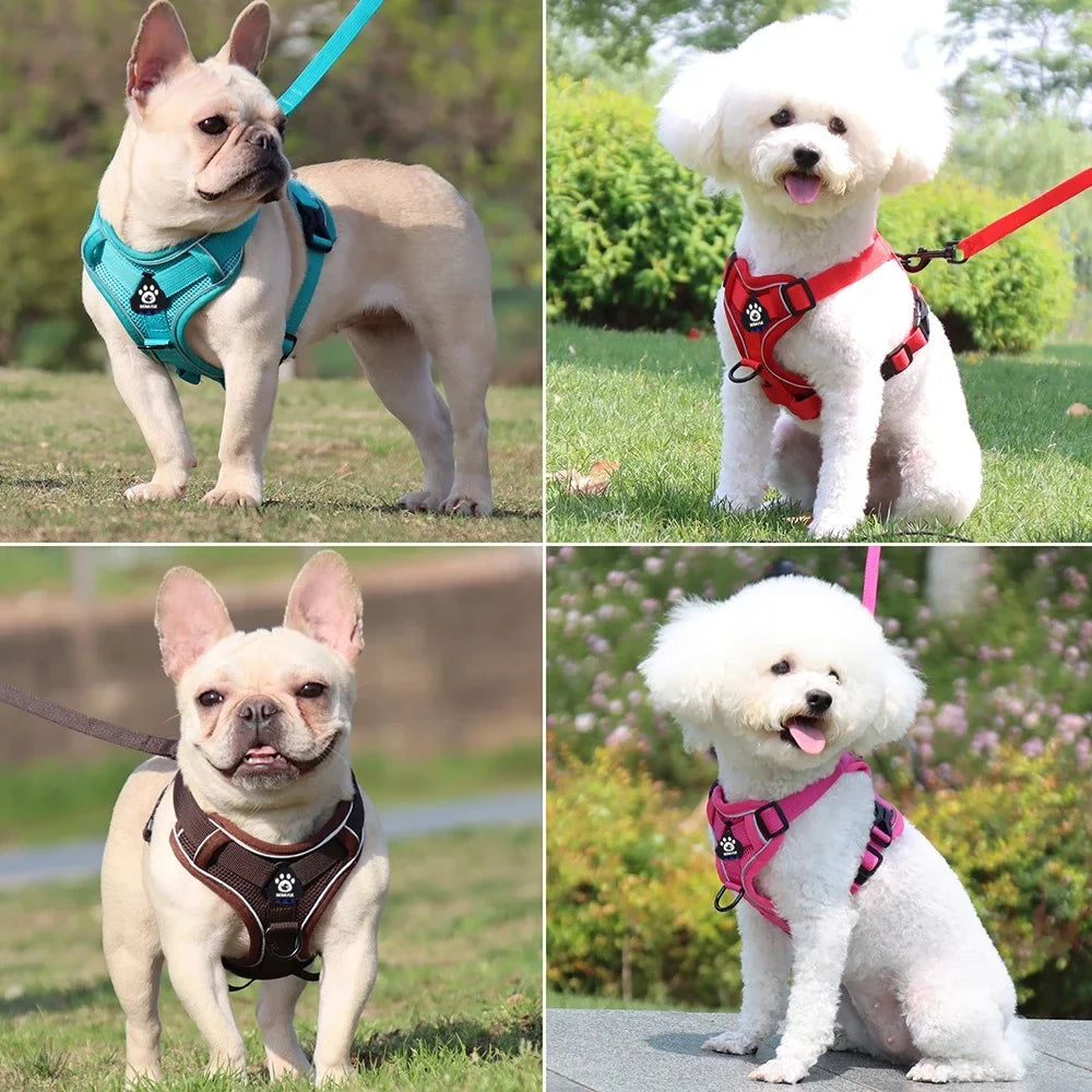 Reflective Pet Harness & Leash Set – Adjustable Mesh for Cats & Small Dogs - Willen