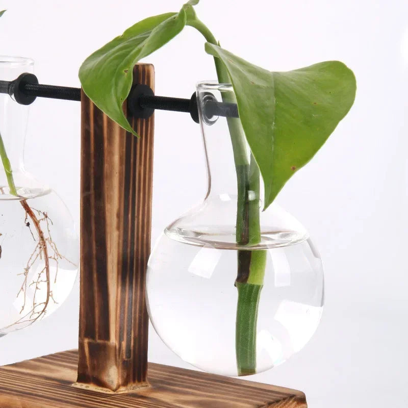 Glass Bulb Vase with Wooden Stand – Hydroponic Plant Holder - Willen