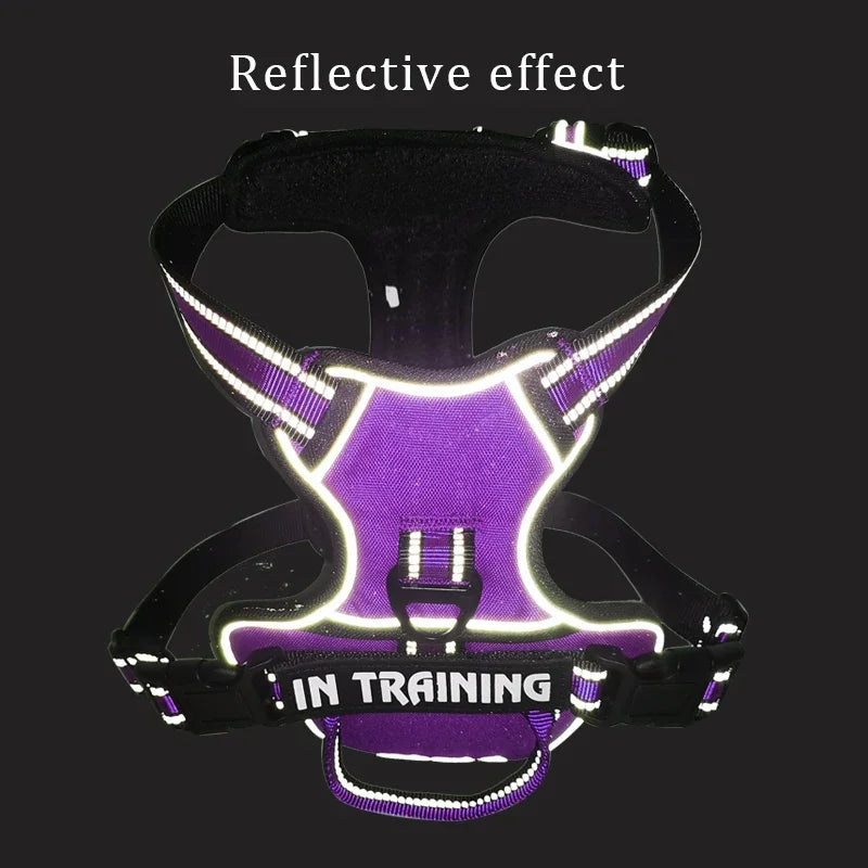 Reflective Adjustable Dog Harness – Breathable, Padded, with Custom Patch - Willen