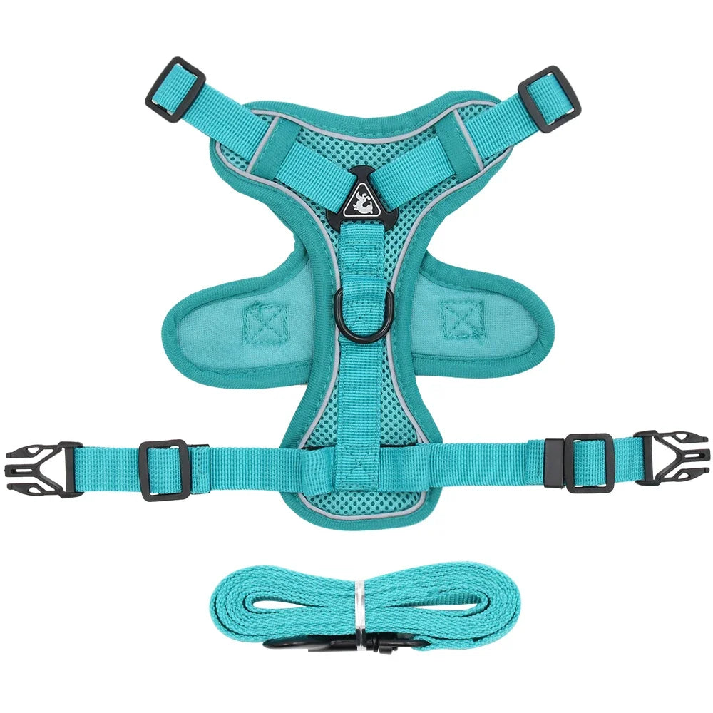 Reflective Pet Harness & Leash Set – Adjustable Mesh for Cats & Small Dogs - Willen