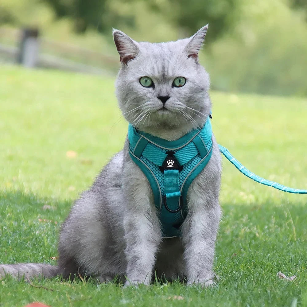 Reflective Pet Harness & Leash Set – Adjustable Mesh for Cats & Small Dogs - Willen