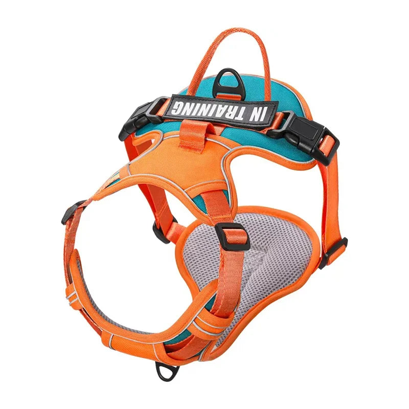 Reflective Adjustable Dog Harness – Breathable, Padded, with Custom Patch - Willen