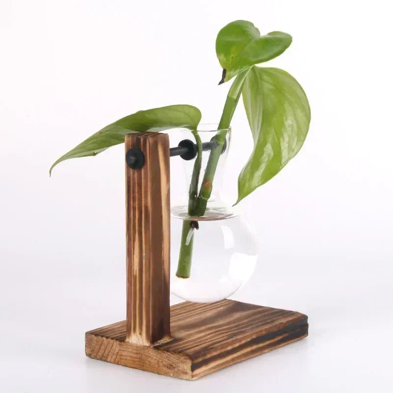Glass Bulb Vase with Wooden Stand – Hydroponic Plant Holder - Willen