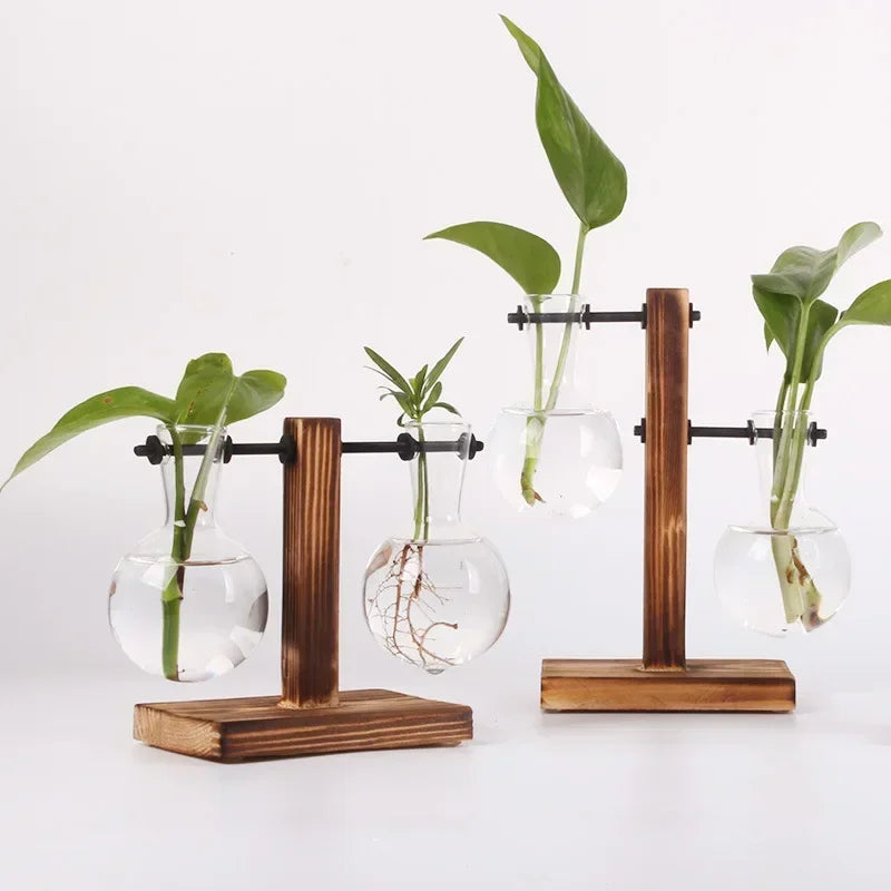 Glass Bulb Vase with Wooden Stand – Hydroponic Plant Holder - Willen