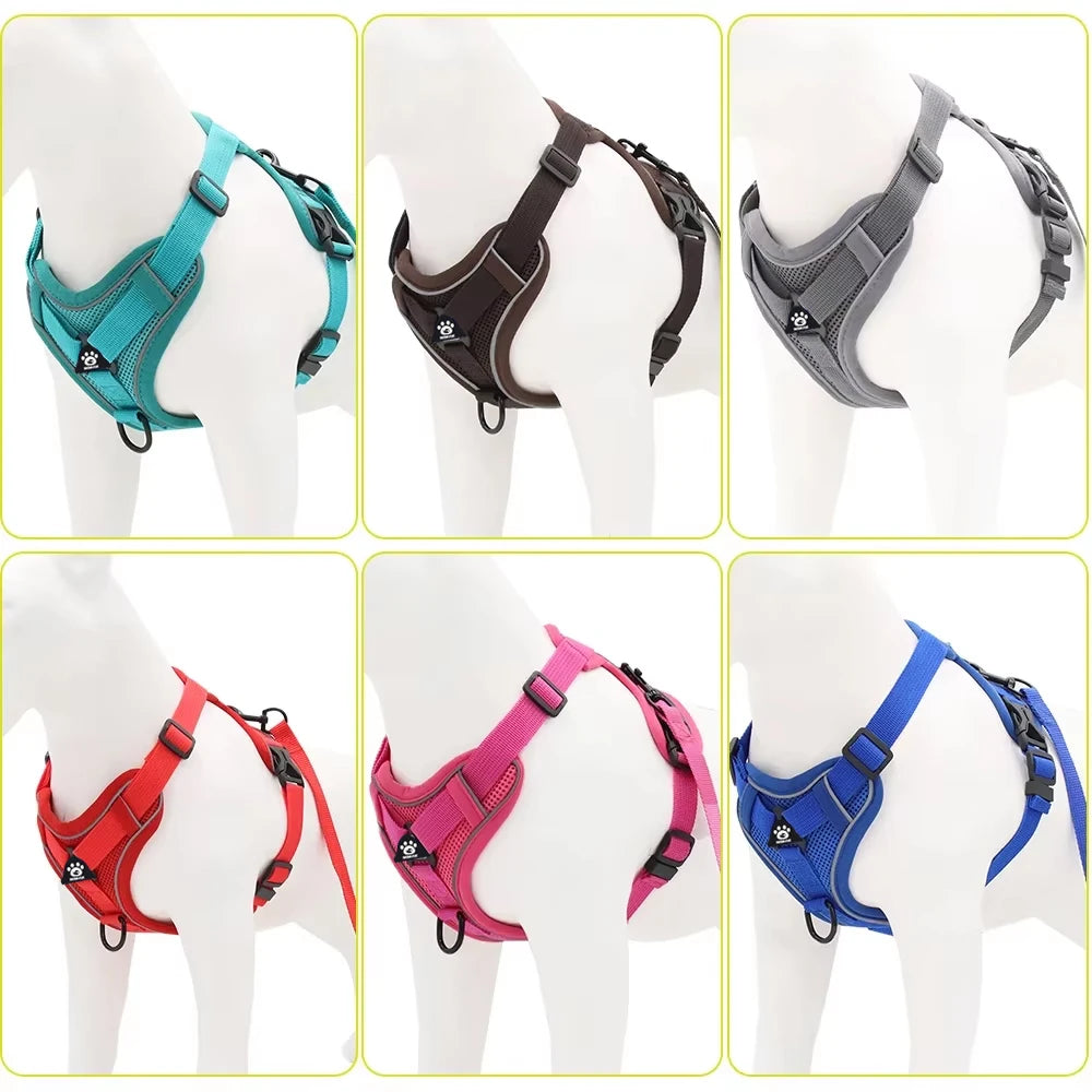 Reflective Pet Harness & Leash Set – Adjustable Mesh for Cats & Small Dogs - Willen