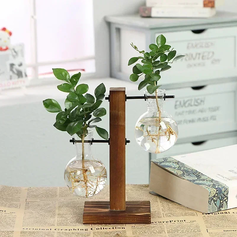 Glass Bulb Vase with Wooden Stand – Hydroponic Plant Holder - Willen