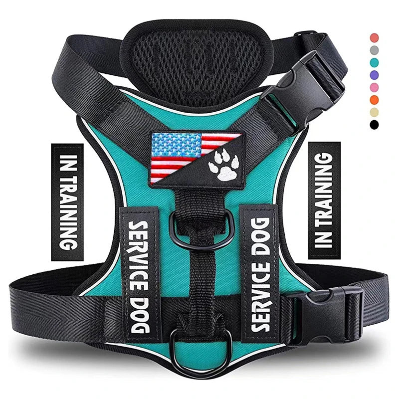 Reflective Training Vest for Dogs – Adjustable, Padded, with ID Patches - Willen