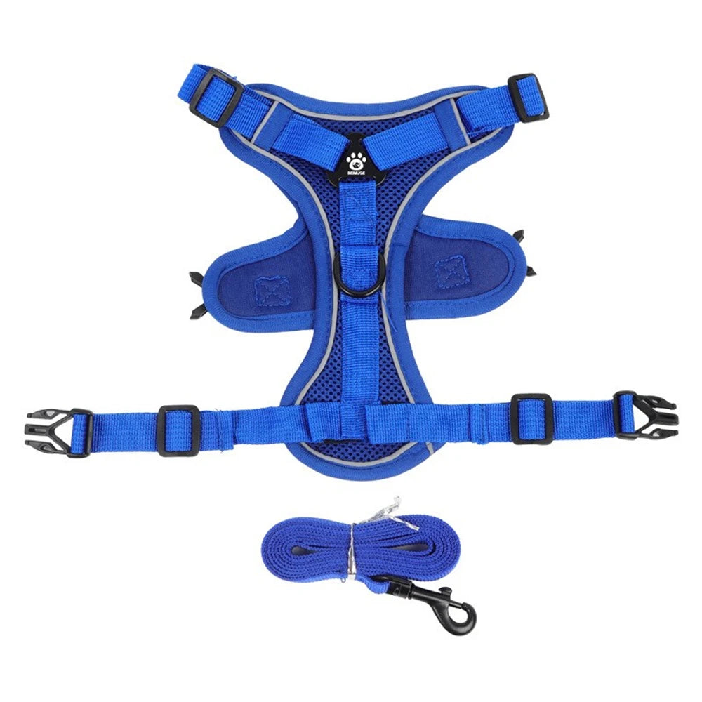 Reflective Pet Harness & Leash Set – Adjustable Mesh for Cats & Small Dogs - Willen