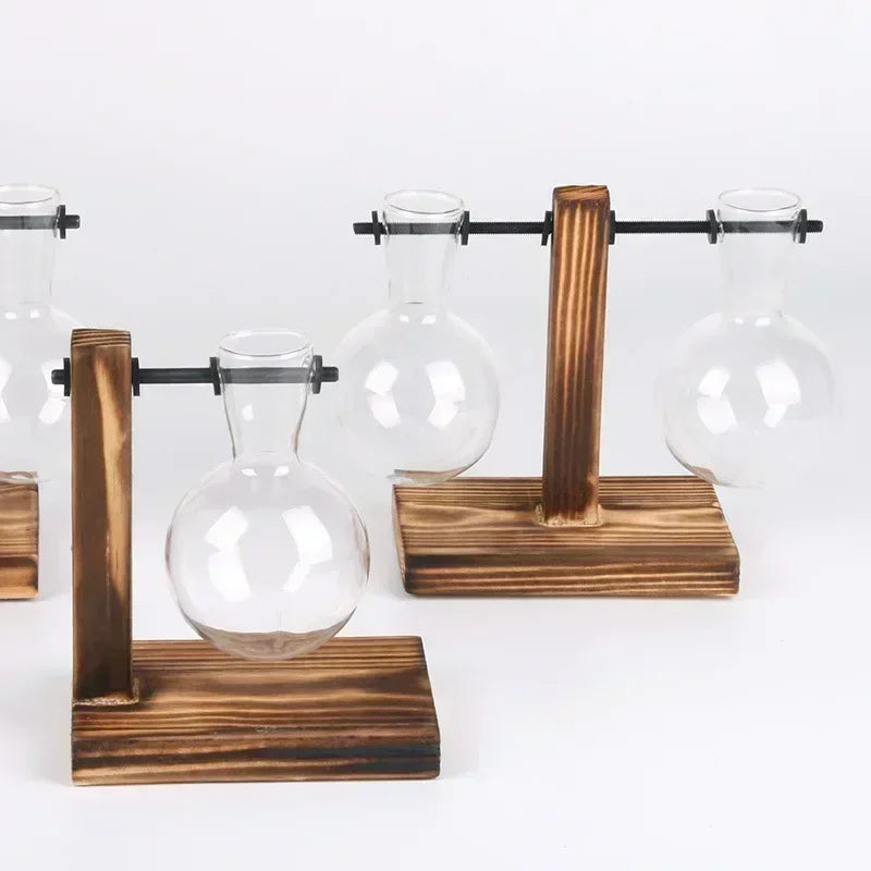 Glass Bulb Vase with Wooden Stand – Hydroponic Plant Holder - Willen