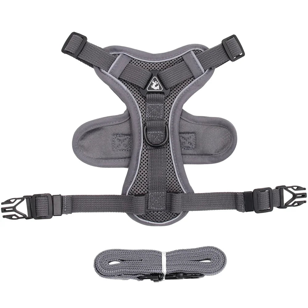 Reflective Pet Harness & Leash Set – Adjustable Mesh for Cats & Small Dogs - Willen