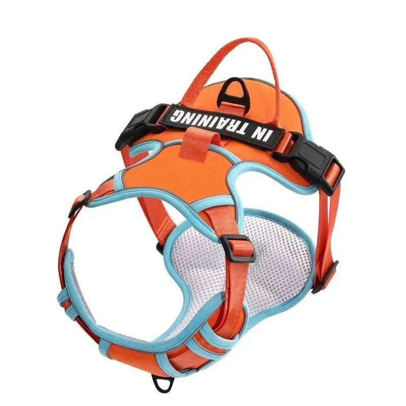 Reflective Adjustable Dog Harness – Breathable, Padded, with Custom Patch - Willen