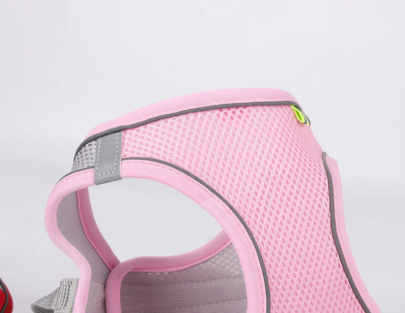 ComfyFit Pet Harness Set – Adjustable Mesh Vest & Leash for Small Dogs and Cats - Willen