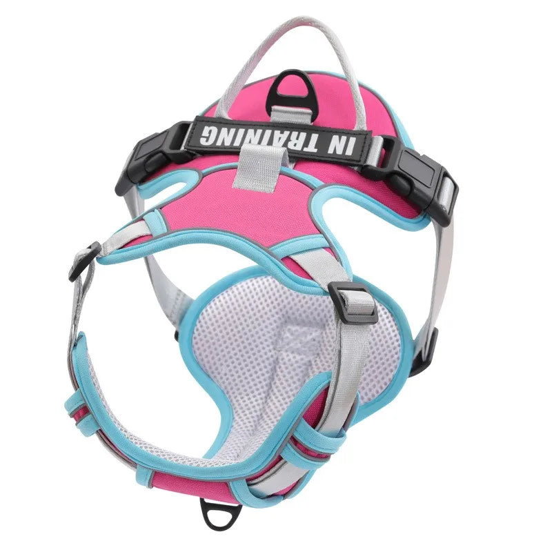 Reflective Adjustable Dog Harness – Breathable, Padded, with Custom Patch - Willen
