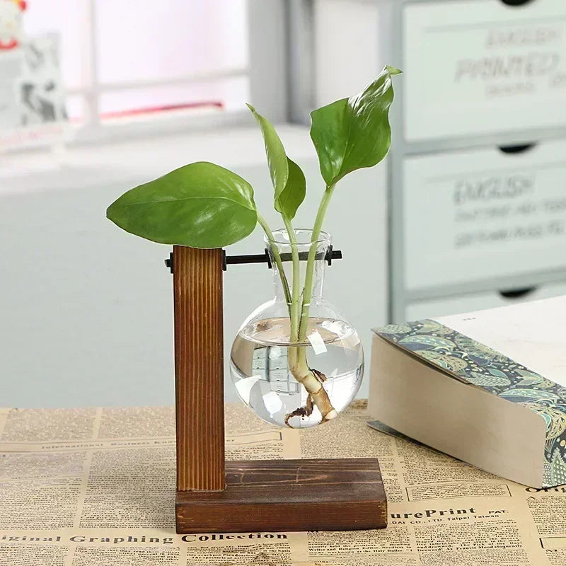 Glass Bulb Vase with Wooden Stand – Hydroponic Plant Holder - Willen