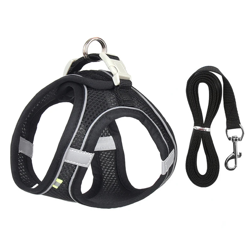 ComfyFit Pet Harness Set – Adjustable Mesh Vest & Leash for Small Dogs and Cats - Willen