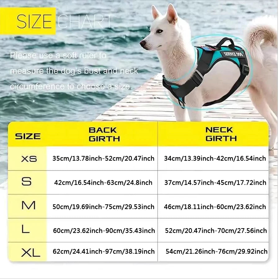 Reflective Training Vest for Dogs – Adjustable, Padded, with ID Patches - Willen