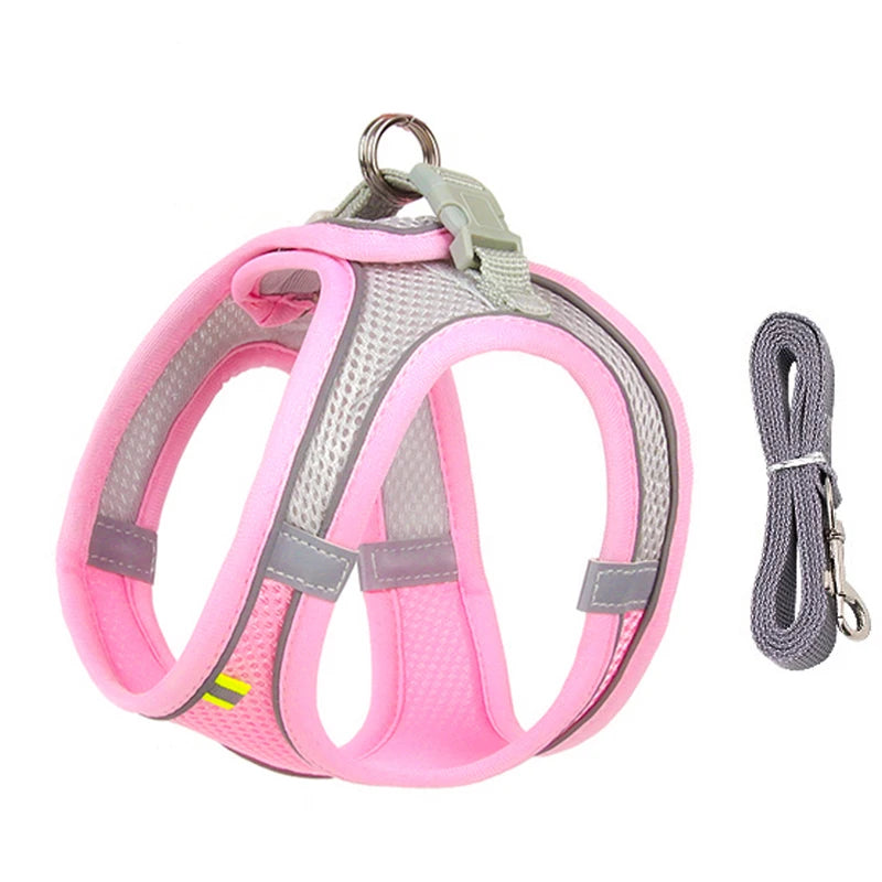 ComfyFit Pet Harness Set – Adjustable Mesh Vest & Leash for Small Dogs and Cats - Willen
