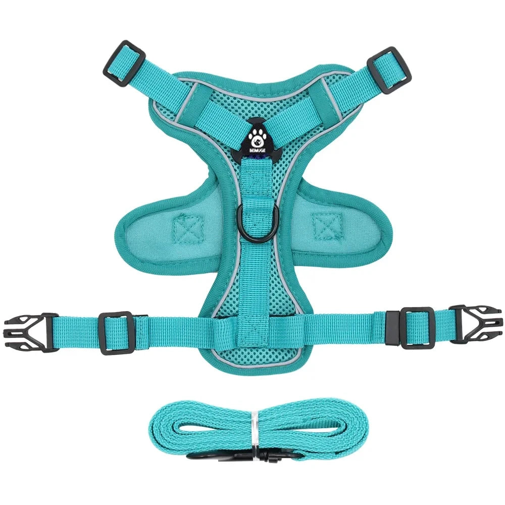 Reflective Pet Harness & Leash Set – Adjustable Mesh for Cats & Small Dogs - Willen