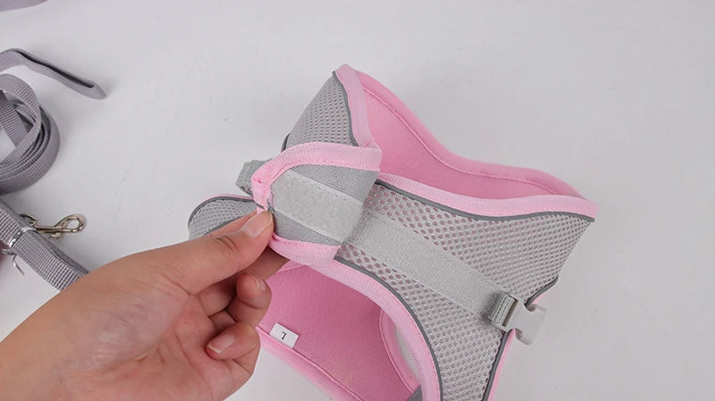 ComfyFit Pet Harness Set – Adjustable Mesh Vest & Leash for Small Dogs and Cats - Willen