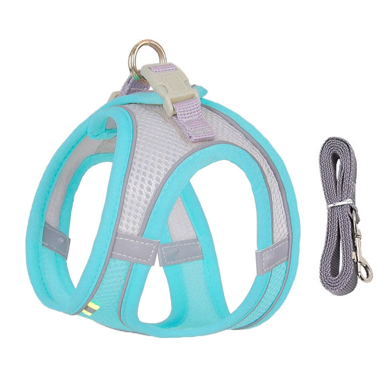 ComfyFit Pet Harness Set – Adjustable Mesh Vest & Leash for Small Dogs and Cats - Willen