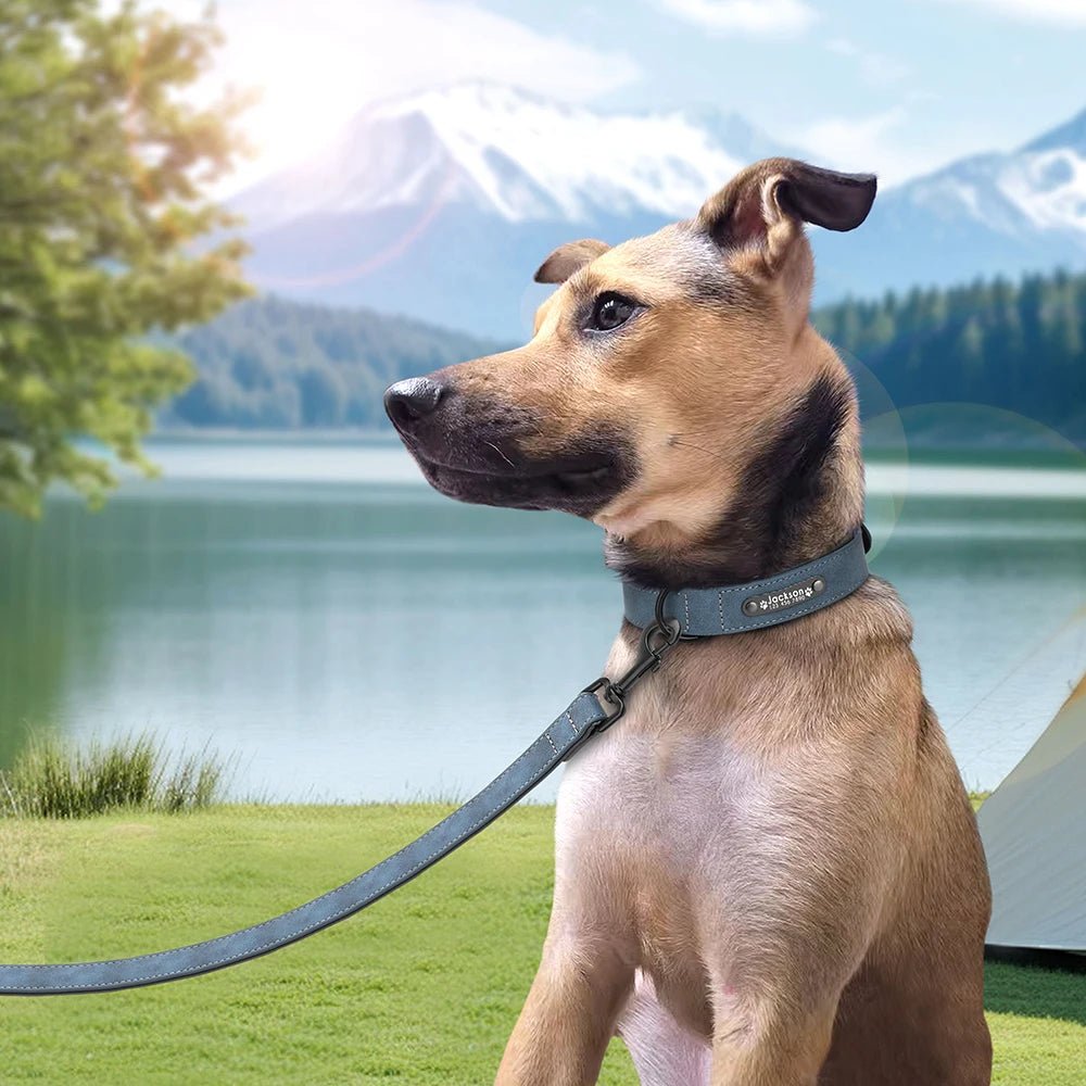 Willen BarkID™ — Engraved Leather Collar & Lead - Personalized Leather Dog Collar & Leash Set | Willen