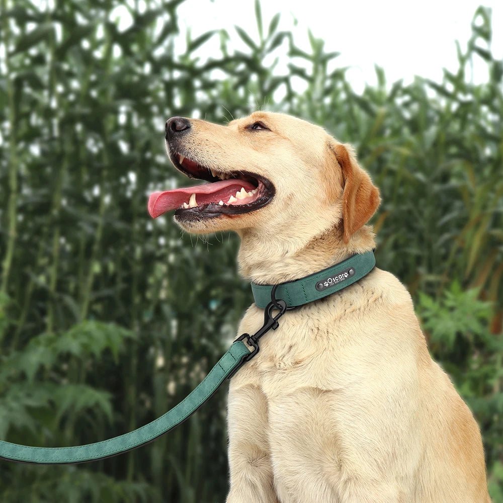 Willen BarkID™ — Engraved Leather Collar & Lead - Personalized Leather Dog Collar & Leash Set | Willen